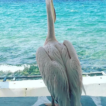 Apartmán Hidden Serenity *