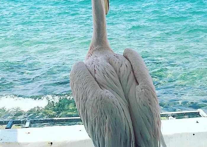 Appartamento Hidden Serenity *